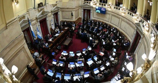 Proponen que senadores donen sus aumentos de dieta al Hospital Garrahan Proponen que senadores donen sus aumentos de dieta al Hospital Garrahan