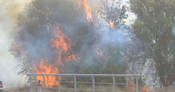 Incendio en la costa del río Limay provocó la evacuación de bañistas