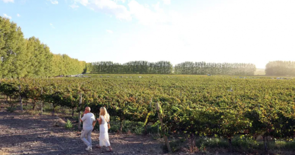 La Vendimia Neuquina 2025 cerró con éxito en San Patricio del Chañar