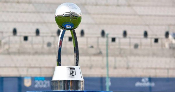 Liga Profesional de AFA 2025: dos Copas de la Liga y el regreso de los descensos