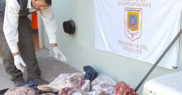 San Martín de los Andes: incautaron carne de ciervo que se vendía ilegalmente