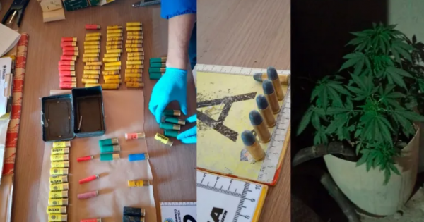 Desbarataron una banda delictiva en Neuquén: narcotráfico, robos y faena clandestina