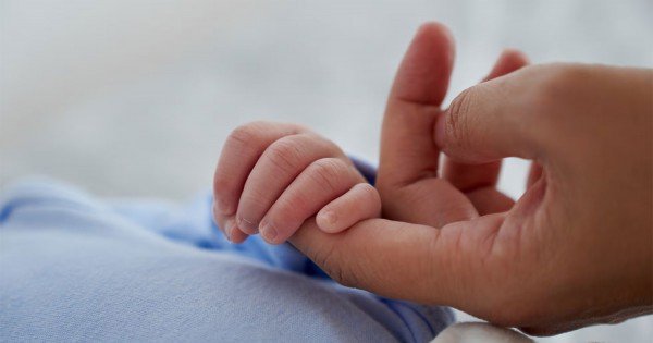 Buscan urgente una familia solidaria para cuidar una bebé de 10 días Buscan urgente una familia solidaria para cuidar una bebé de 10 días