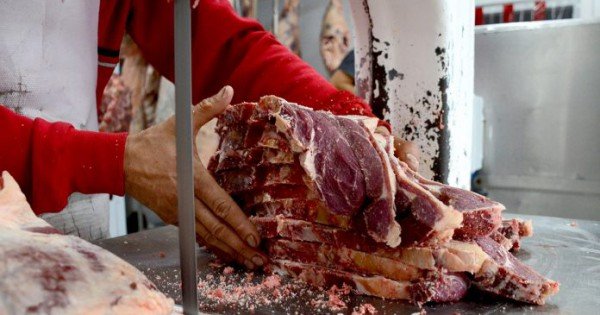 Fuerte crítica de dirigentes patagónicos tras el cierre de Chile a carnes con hueso Fuerte crítica de dirigentes patagónicos tras el cierre de Chile a carnes con hueso