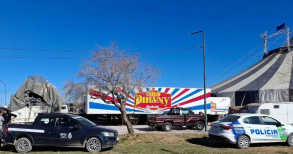 Secuestran más de 10 perros maltratados en el circo Dihany de Fernández Oro