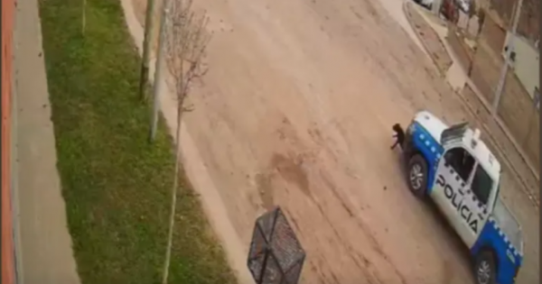 Identificaron al patrullero que atropelló y mató a una perrita en el barrio Cuenca XVI Identificaron al patrullero que atropelló y mató a una perrita en el barrio Cuenca XVI