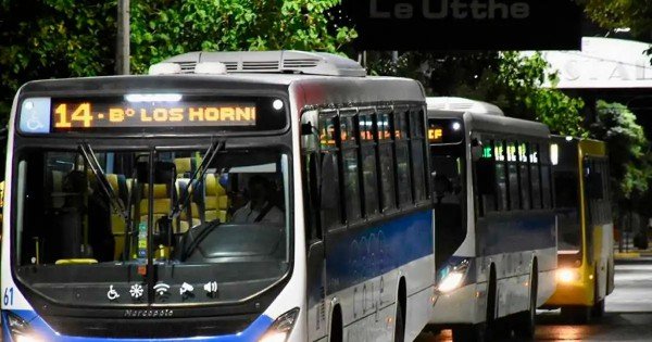 Ahora viajar en COLE será más fácil: suman QR, tarjetas y SUBE digital