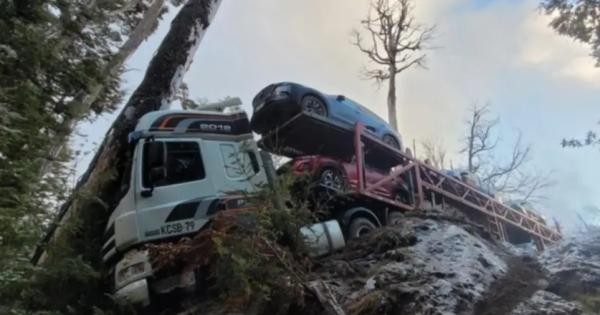 En plena nevada: un camión que transportaba autos perdió el control sobre la Ruta 231