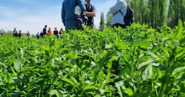 Créditos blandos en Neuquén para productores afectados por la sequía