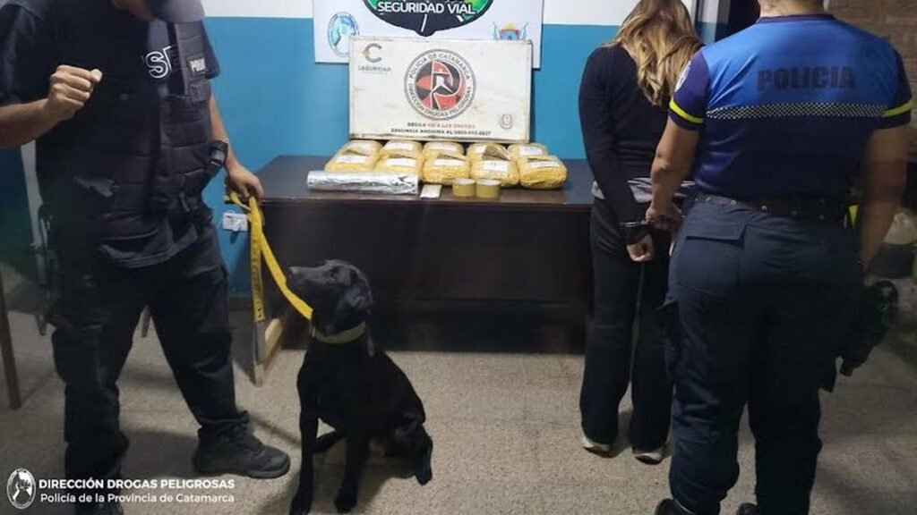 Secuestraron más de 11 kilos de marihuana en un control en El Portezuelo