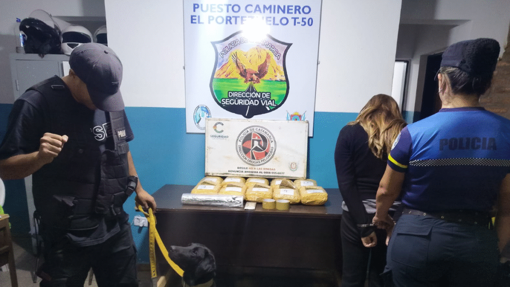 Detuvieron a una mujer con 11 kilos de droga en  un colectivo