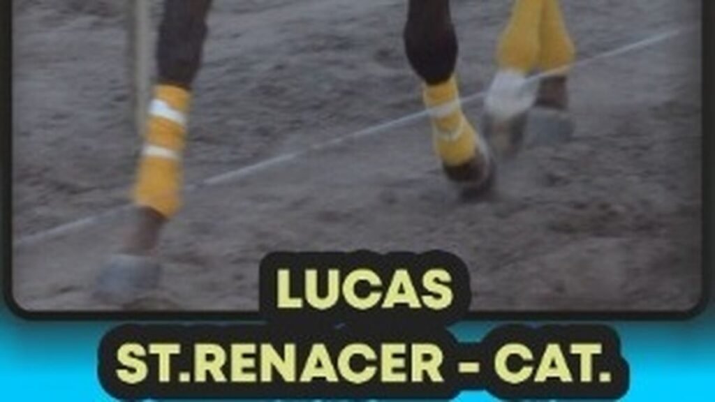 Fiesta cuadrera en Los Altos