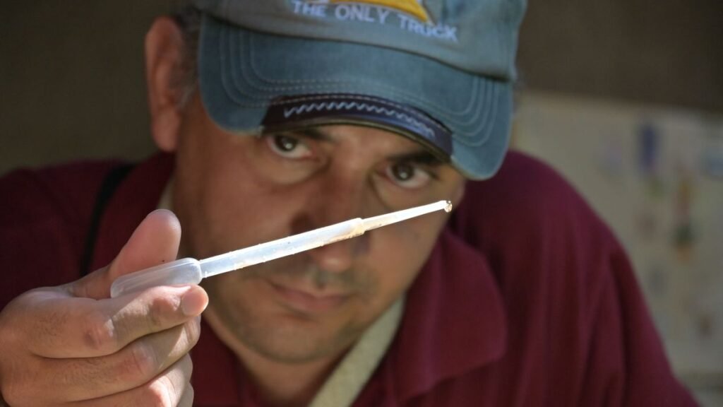 Continúa el control focal en distintos barrios de la Capital para evitar la proliferación del dengue