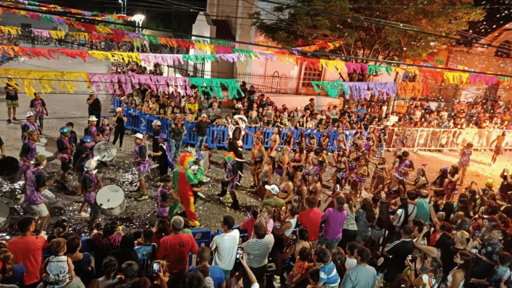 El Carnaval de Eulalia reunió a más de 3.000 personas y recaudó más de  millones
