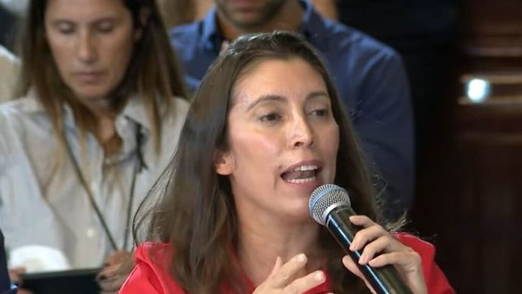 “Helicópteros” y “golpistas”: el cruce entre una senadora K y Bullrich “Helicópteros” y “golpistas”: el cruce entre una senadora K y Bullrich