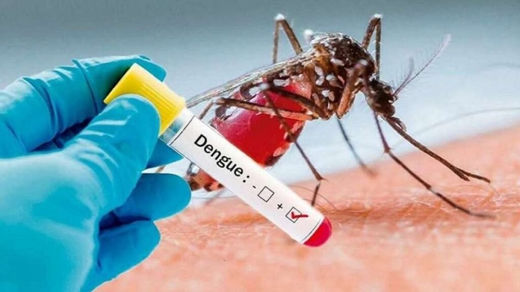 La provincia registró el primer caso de dengue de la temporada
