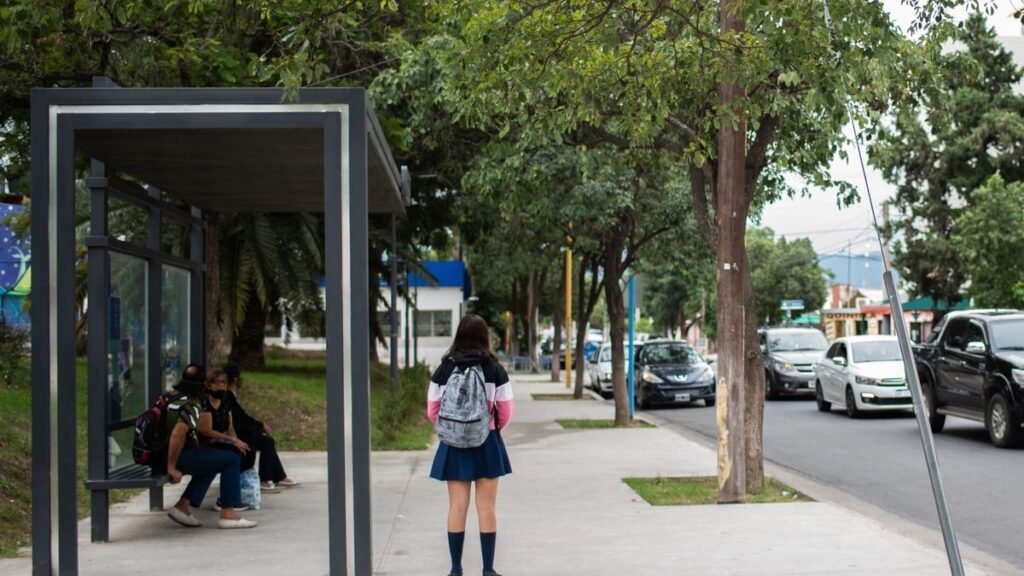 Restablecen horarios de colectivos, pero advierten que hay crisis