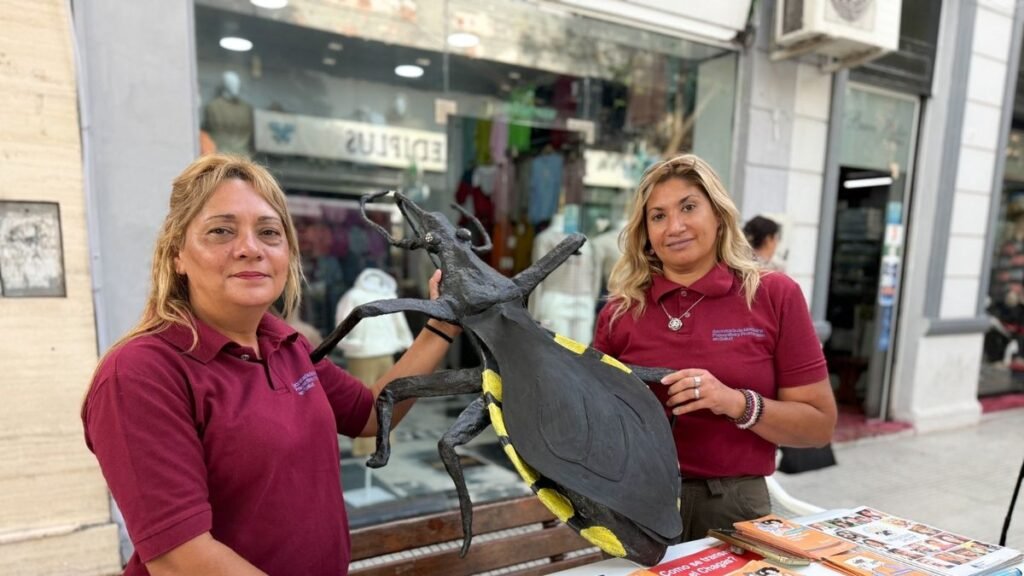 Catamarca sigue siendo endémica de Chagas y piden más controles