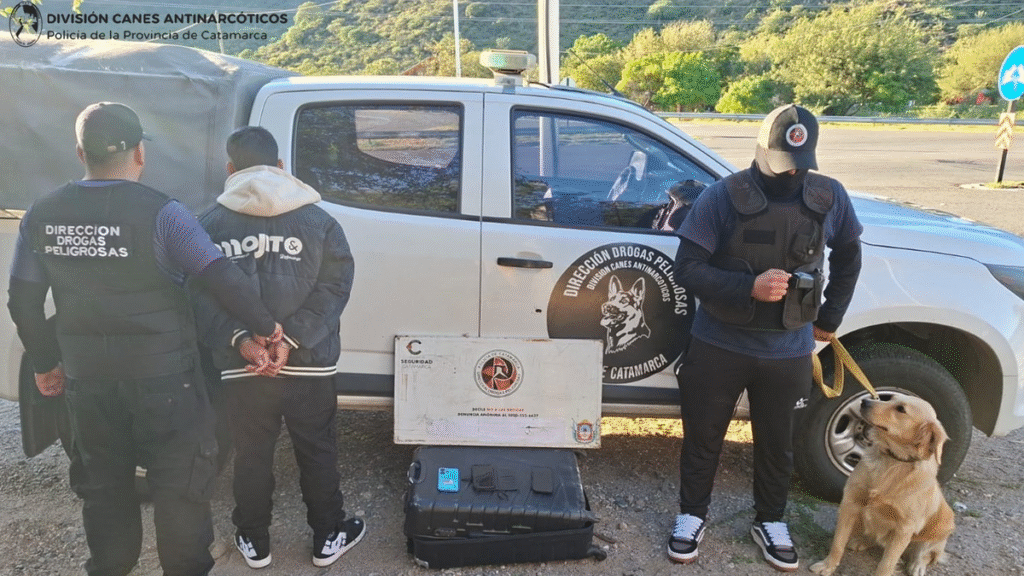 Secuestran más de 12 kilos de marihuana en Valle Viejo y detienen a un joven