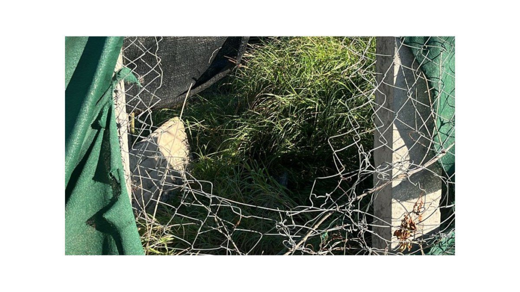 La Cooperativa “Vos haces la diferencia” sufrió un importante robo