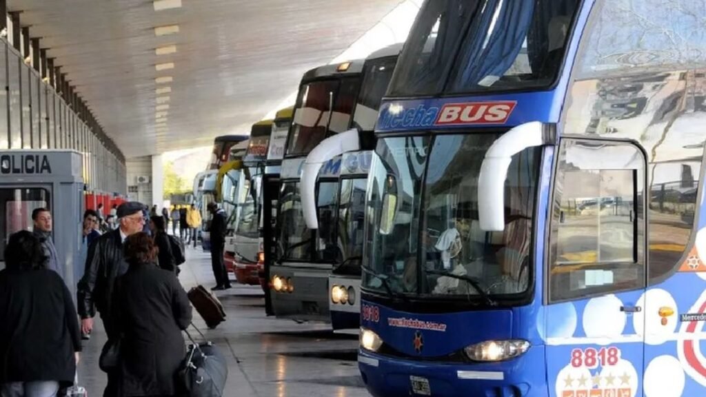 Por decreto, el Gobierno eliminó el fondo que financiaba los pasajes gratuitos por discapacidad