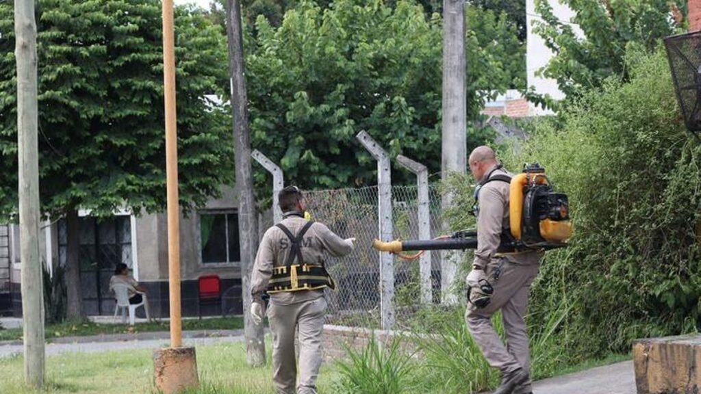 Salud y el Municipio realizarán controles focales en más de diez barrios de la Capital