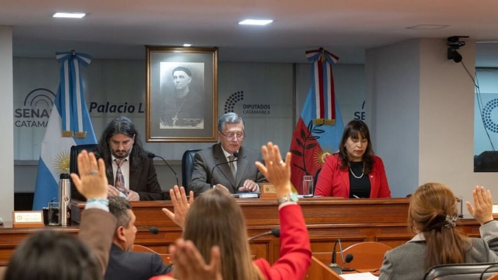 El oficialismo defendió  el proyecto Diablillos-Plata  y sumó respaldo opositor