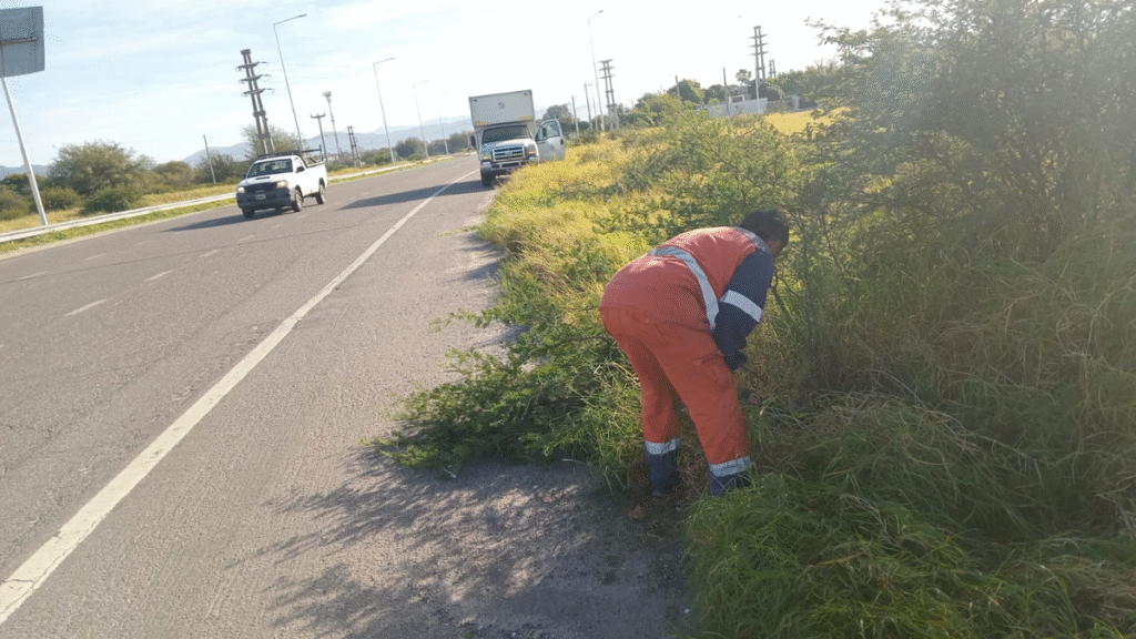 Piden circular con precaución en la RN 38 por trabajos de desmalezado