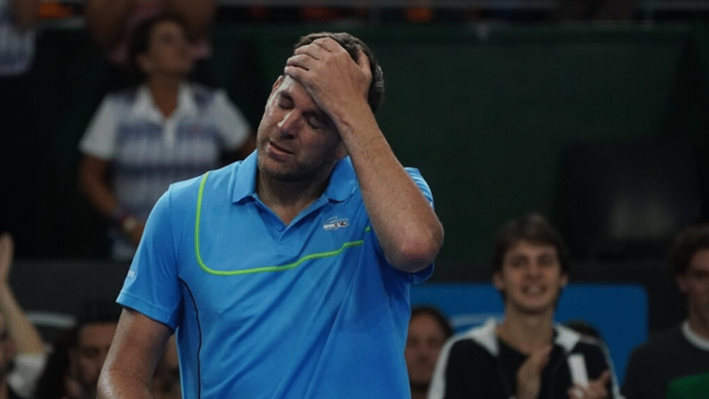 Millonario robo al tenista Del Potro