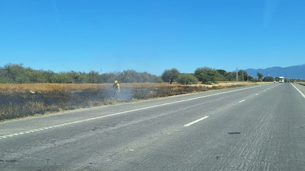 Bomberos trabajan en un incendio de pastizales sobre Avenida de Circunvalación