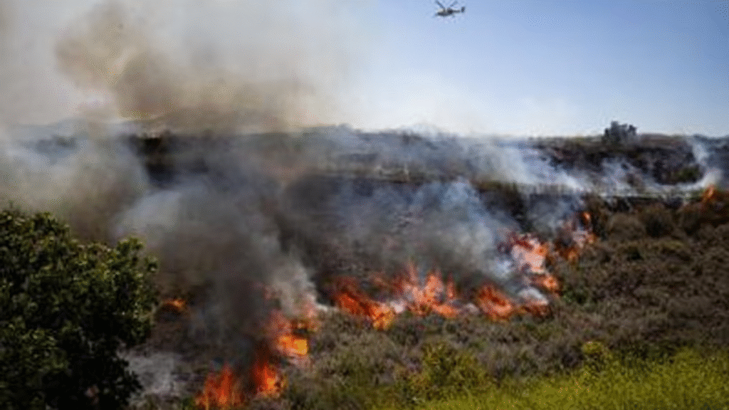 Un incendio forestal en el sur de California obliga a evacuar a más de 17.000 residentes Un incendio forestal en el sur de California obliga a evacuar a más de 17.000 residentes