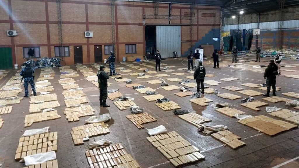 Golpe al narco: secuestraron  casi 6 toneladas de marihuana