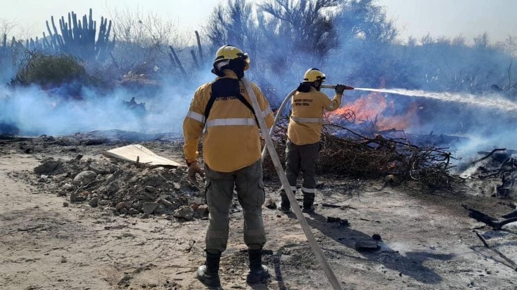 Detectan gran acumulación de material combustible en varias zonas de la provincia Detectan gran acumulación de material combustible en varias zonas de la provincia