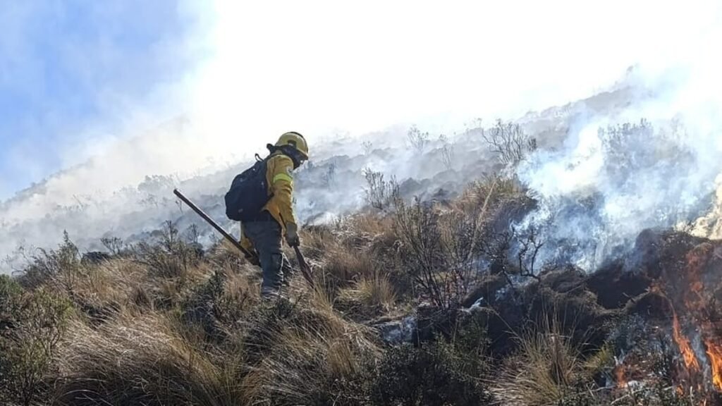 Anticipan una temporada de alto riesgo por incendios Anticipan una temporada de alto riesgo por incendios