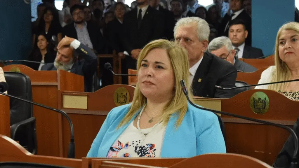 Cuestionan la designación de Verónica Vallejos en la comisión de Infancias Cuestionan la designación de Verónica Vallejos en la comisión de Infancias