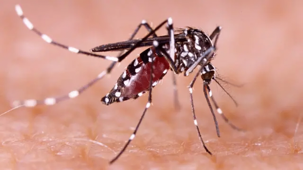 Intensifican los controles contra el dengue en distintos barrios de la Capital