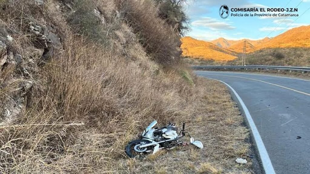 Un motociclista chocó contra un animal suelto en la Ruta 4 y fue hospitalizado