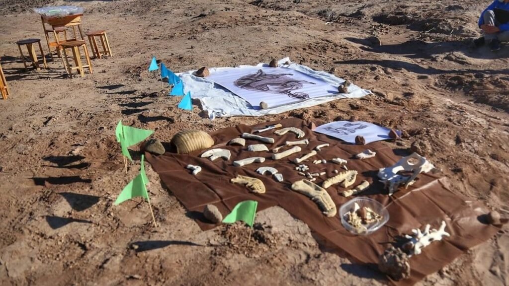 1º Congreso Educativo de Paleoturismo