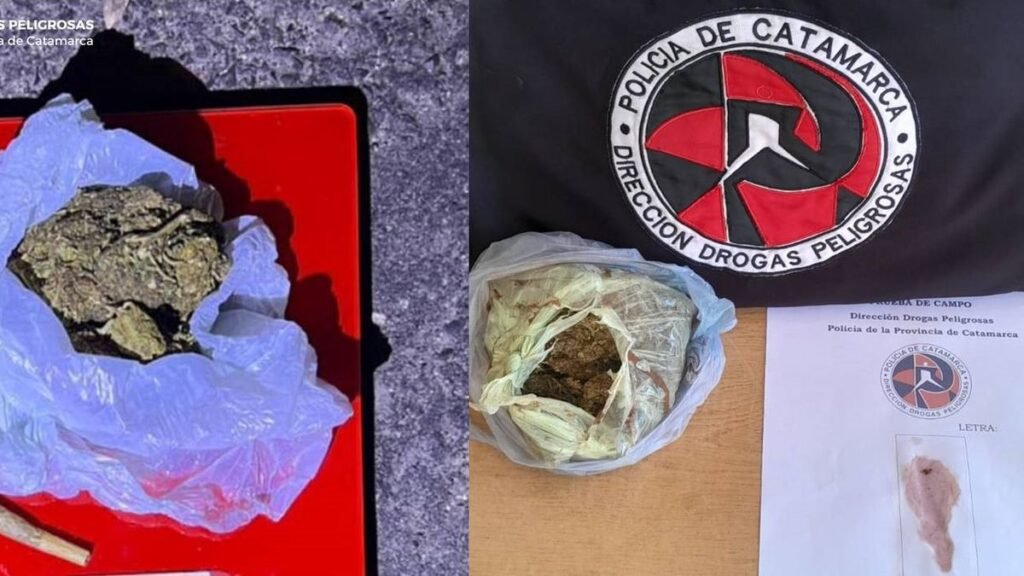 Secuestraron marihuana en un colectivo y un remis durante operativos en rutas provinciales