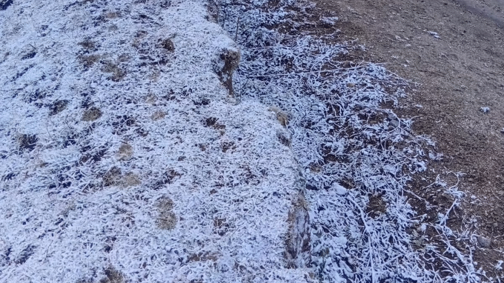 Catamarca sigue bajo alerta por bajas temperaturas