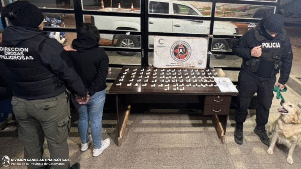 Detienen a una mujer con más de un kilo de cocaína en un colectivo de larga distancia
