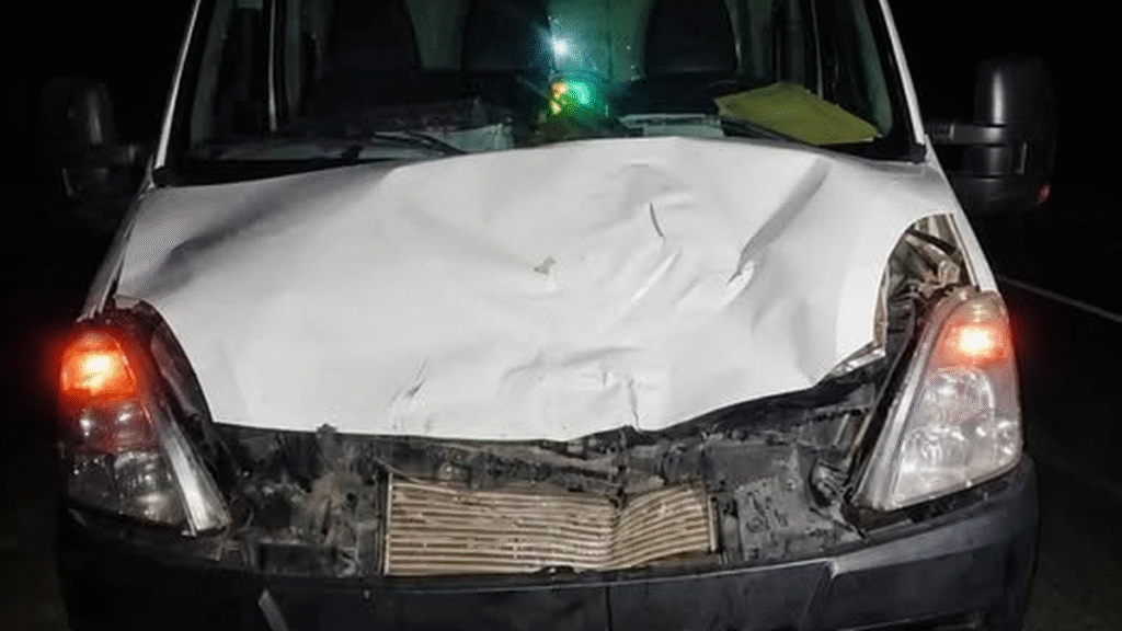 Un animal suelto en la ruta provocó un grave accidente