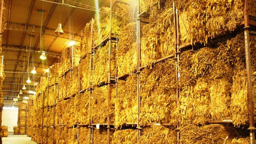 El sector tabacalero defendió el Fondo Especial del Tabaco y reclamó medidas contra la ilegalidad