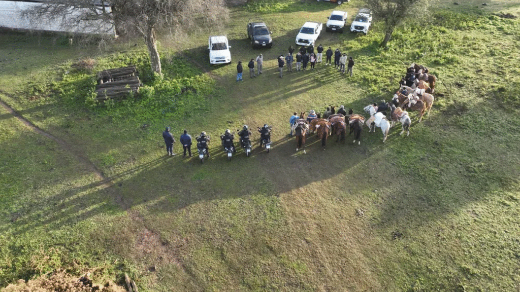 Cruces por un procedimiento de abigeato y denuncian apremios Cruces por un procedimiento de abigeato y denuncian apremios