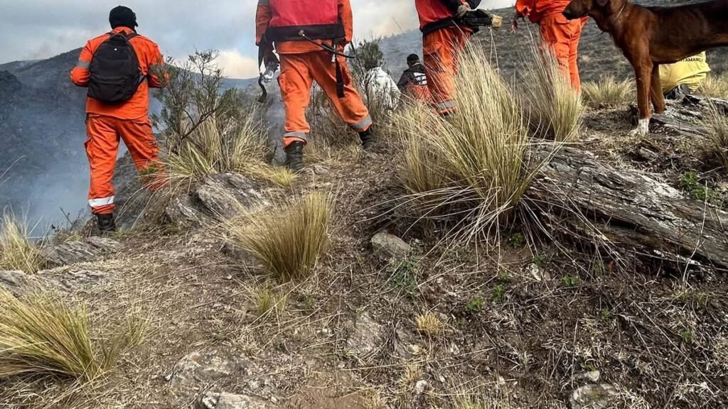 La superficie afectada asciende a  296 hectáreas