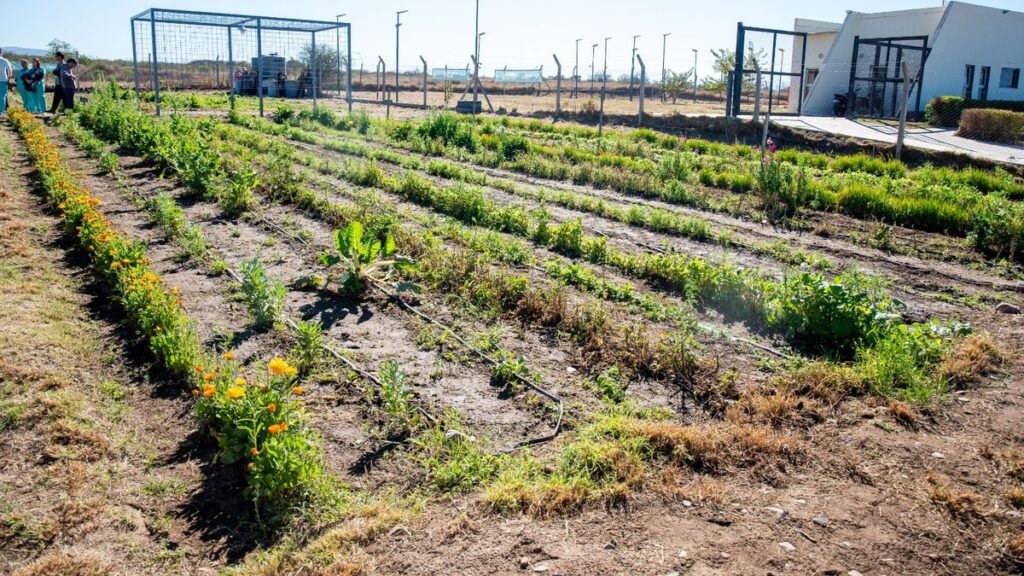 Ponen en valor la huerta comunitaria de Valle Chico