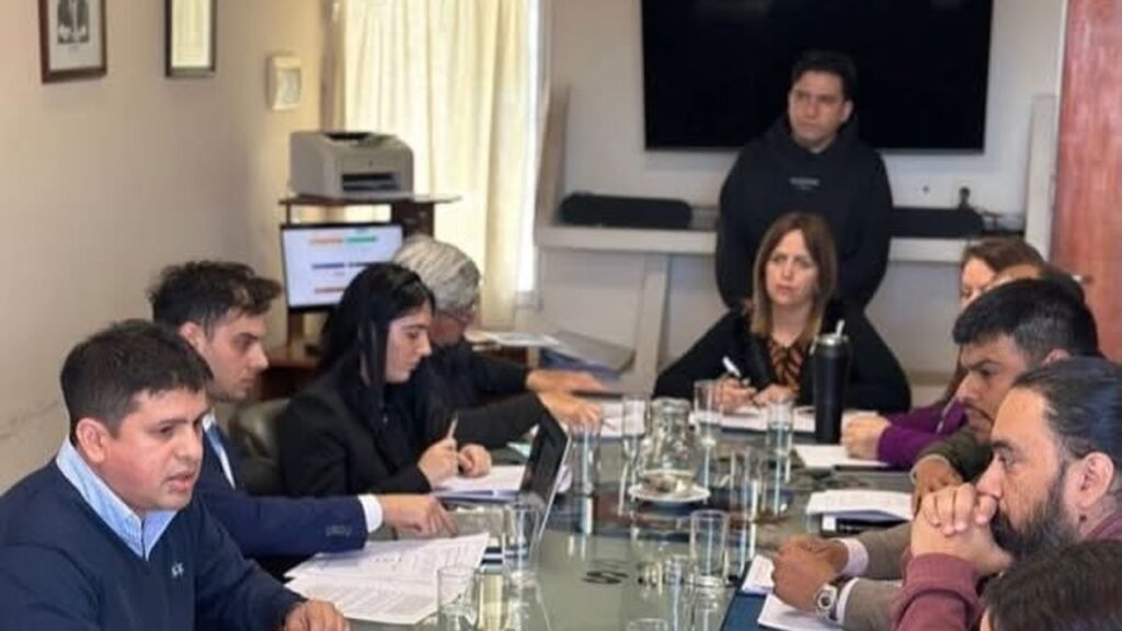 La oposición sugirió cambios  para la ley de reforma de CAMYEN