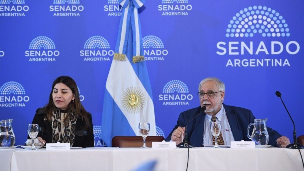 Se aprobó el pliego de Busleiman y se trató el de Miguel Carmona
