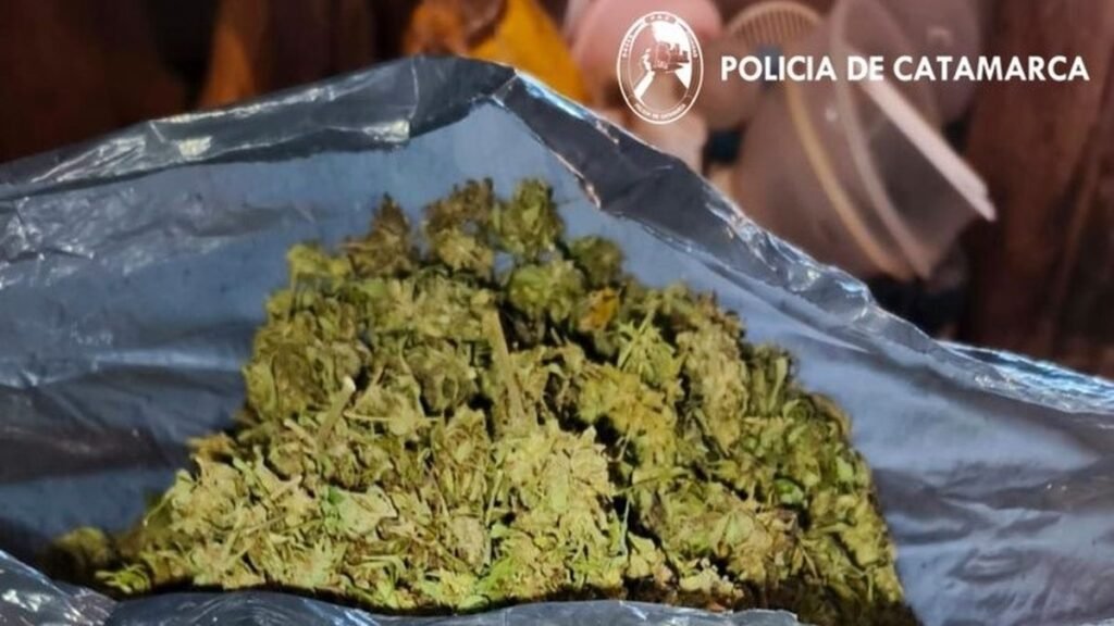 Investigaban un robo y encontraron un kilo de marihuana
