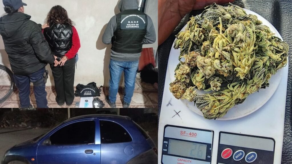 Allanamientos en Andalgalá, Pomán y La Paz: secuestraron cocaína y marihuana